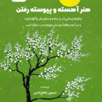 کتاب صوتی هنر آهسته و پیوسته رفتن